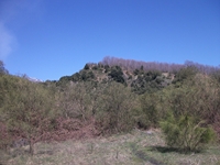 anobello-01042012 102